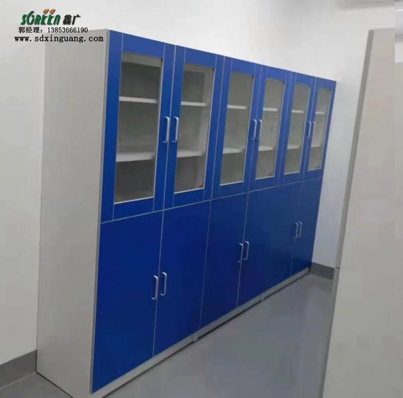 實(shí)驗(yàn)室器皿柜